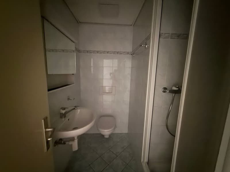 Disponibile ora - fresca di pittura, grande, spazioso appartamento di 4,5 locali con 3 ampi balconi (18)