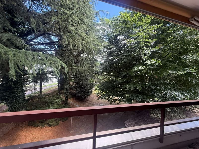 Disponibile ora - fresca di pittura, grande, spazioso appartamento di 4,5 locali con 3 ampi balconi (16)