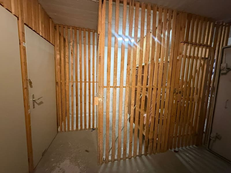 Disponibile ora - fresca di pittura, grande, spazioso appartamento di 4,5 locali con 3 ampi balconi (22)