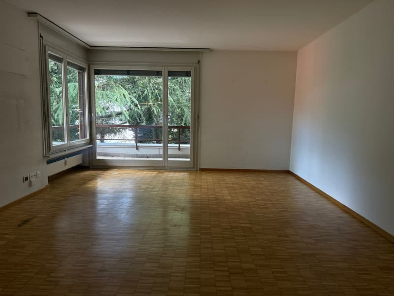 Disponibile ora - fresca di pittura, grande, spazioso appartamento di 4,5 locali con 3 ampi balconi (7)
