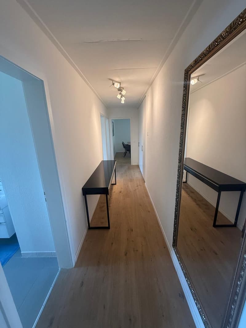 Disponibile da subito - Ottimo appartamento 3.5 locali, arredato/attrezzato se desiderato - Pronto per essere occupato immediatamente (9)