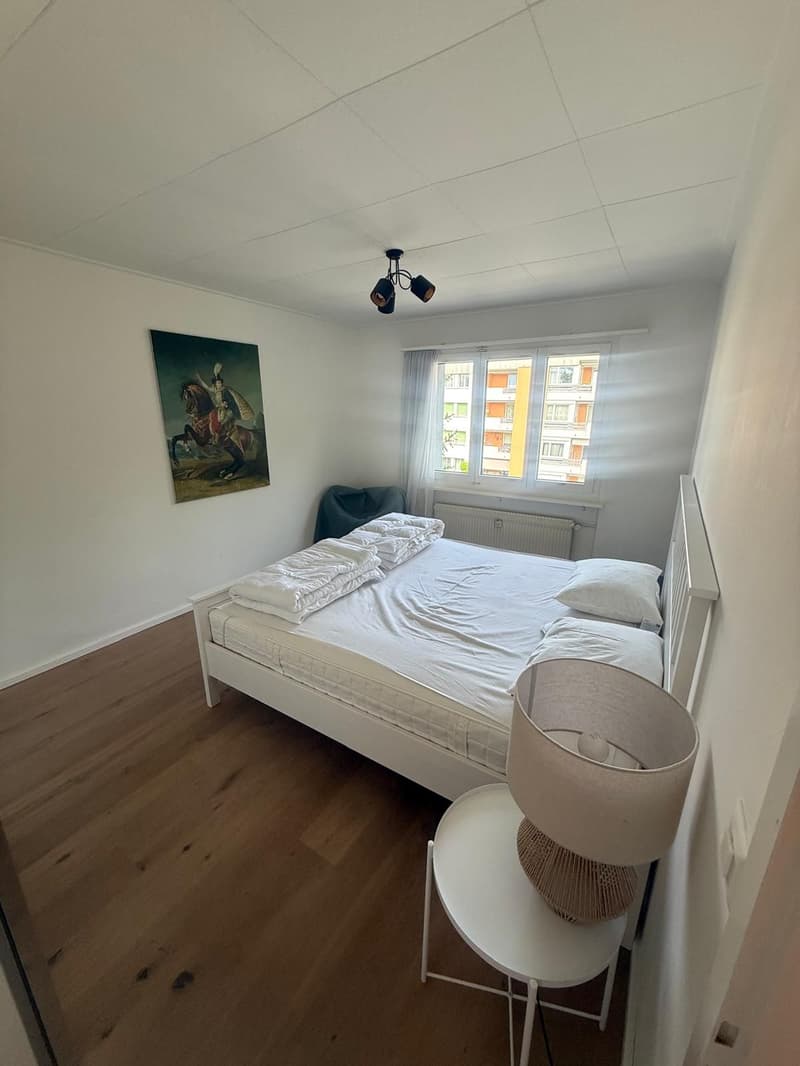 Disponibile da subito - Ottimo appartamento 3.5 locali, arredato/attrezzato se desiderato - Pronto per essere occupato immediatamente (13)