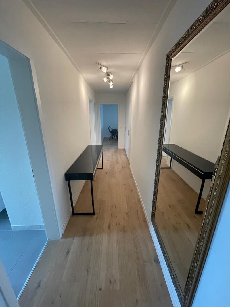 Disponibile da subito - Ottimo appartamento 3.5 locali, arredato/attrezzato se desiderato - Pronto per essere occupato immediatamente (14)