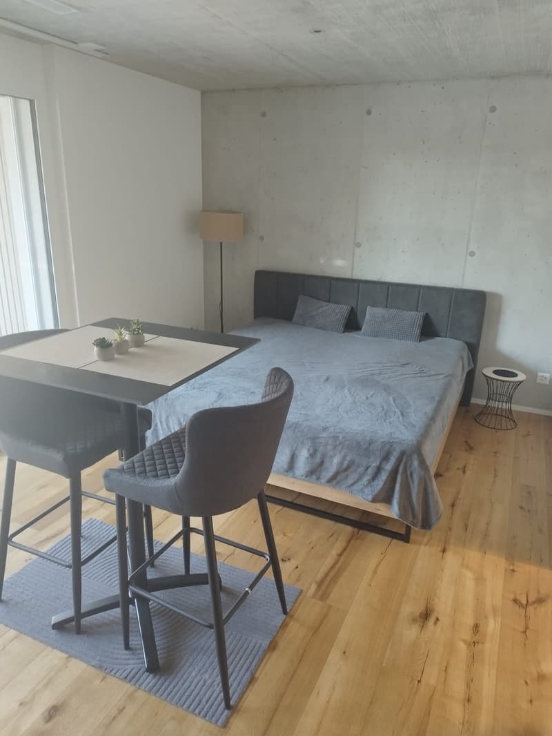À partir du 15.8./1.9. - Appartement moderne, superbe 1.5 pièces avec 30 m2 de surface habitable et grand balcon 12 m2 (6)