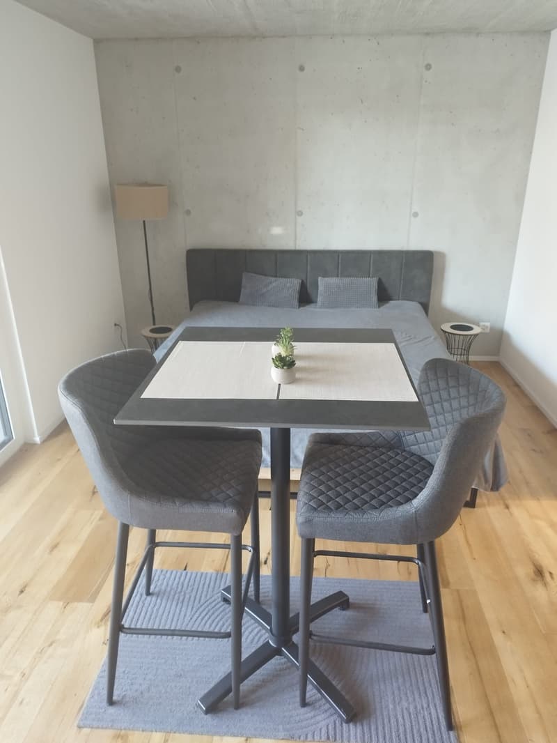 À partir du 15.8./1.9. - Appartement moderne, superbe 1.5 pièces avec 30 m2 de surface habitable et grand balcon 12 m2 (5)