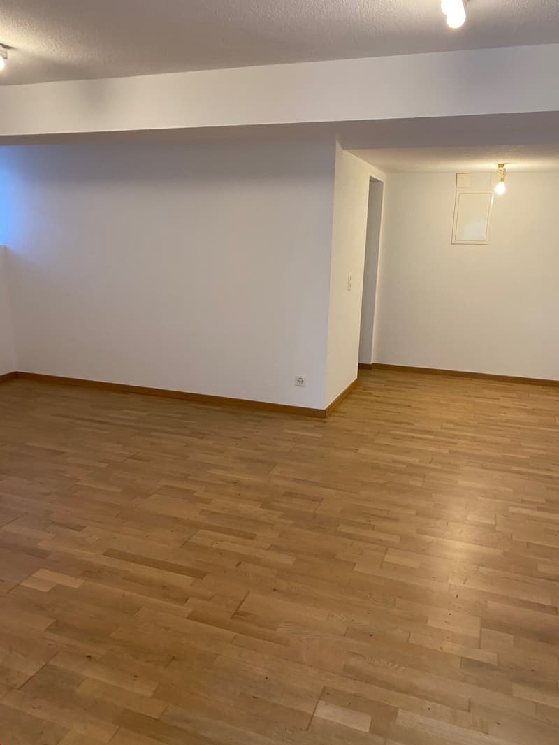 Hübscher und grosszügiger Wohnraum