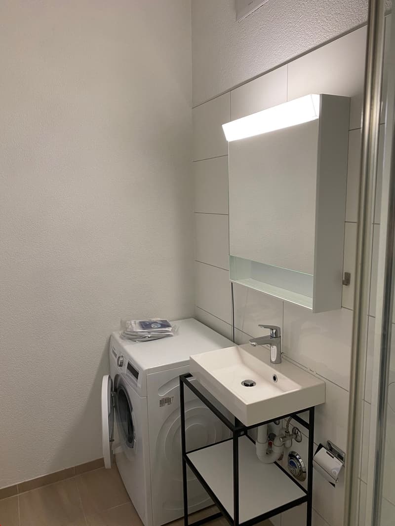 Disponibile dal 1.8/1.9/1.10 - Bella appartamento loft di 2.5 locali con balcone (14)
