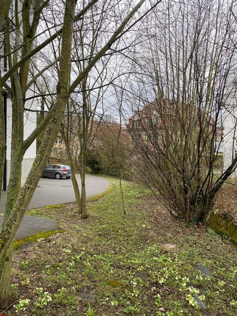 Blick hinters Haus und ins ruhige, grüne Quartier