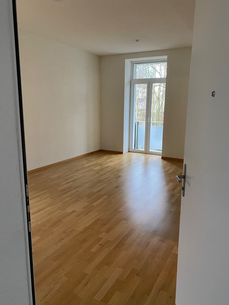 Blick vom Wohnungseingang in Richtung Wohnraum und Balkon