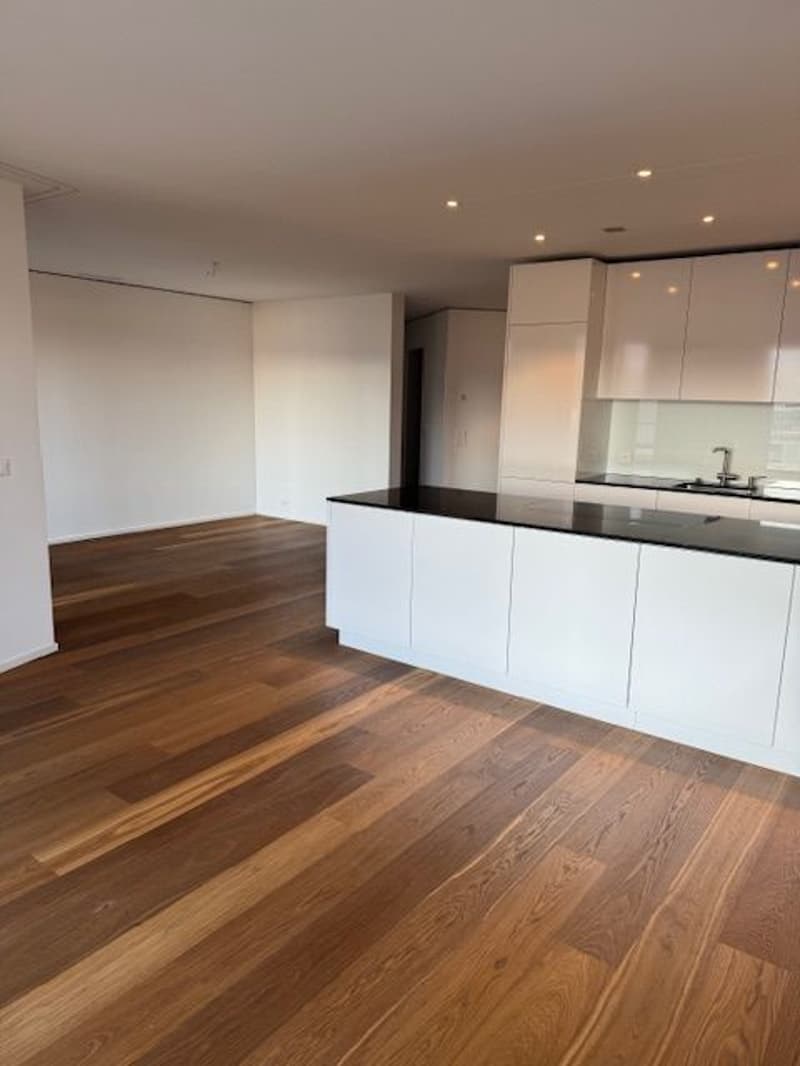 À partir du 1.10. - Appartement stylé de 3.5 pièces avec 95 m2 et grande loggia de 35 m2, au 8e étage (5)