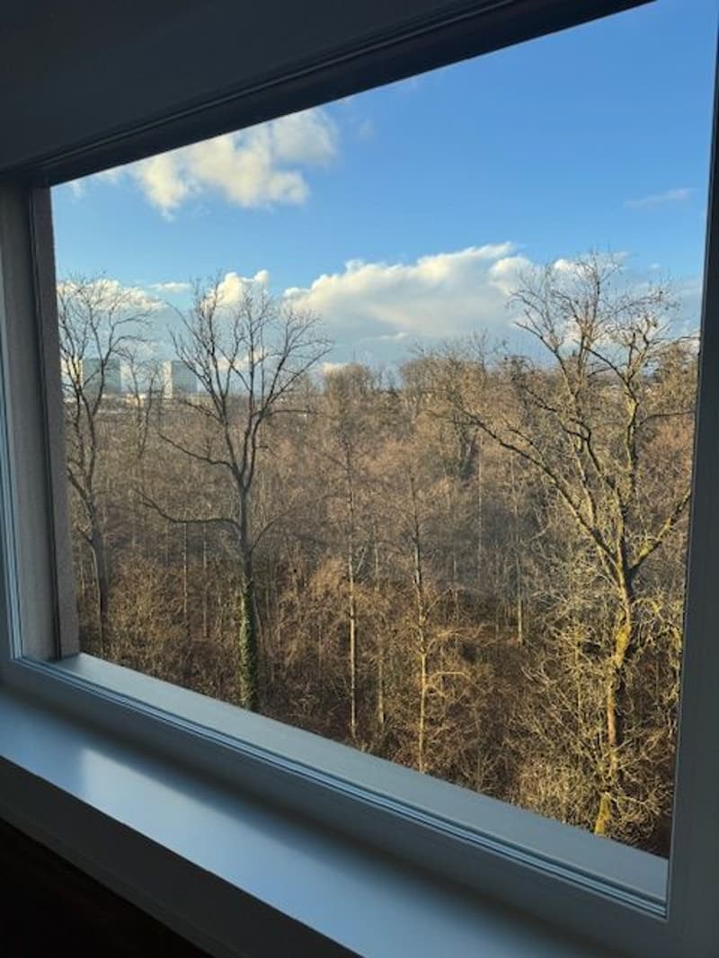 À partir du 1.10. - Appartement stylé de 3.5 pièces avec 95 m2 et grande loggia de 35 m2, au 8e étage (18)