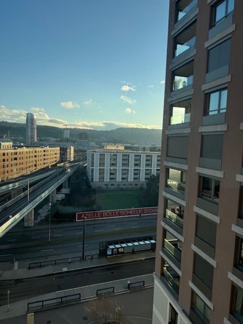 À partir du 1.10. - Appartement stylé de 3.5 pièces avec 95 m2 et grande loggia de 35 m2, au 8e étage (10)
