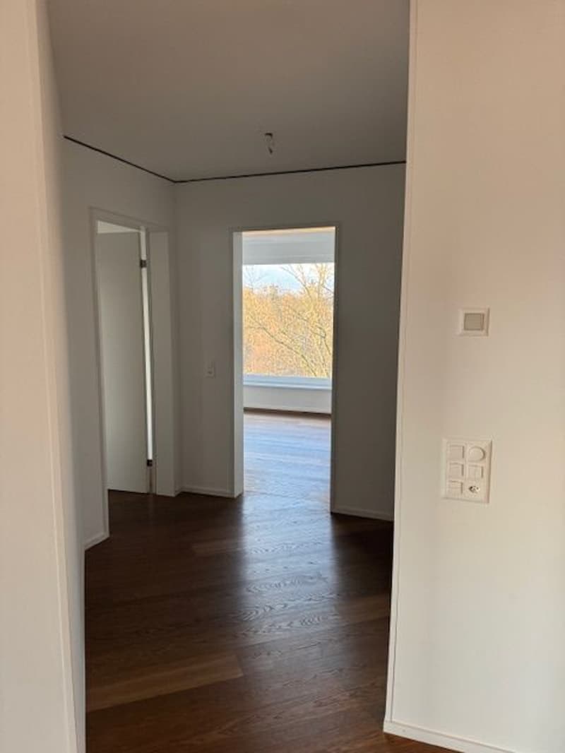 À partir du 1.10. - Appartement stylé de 3.5 pièces avec 95 m2 et grande loggia de 35 m2, au 8e étage (14)