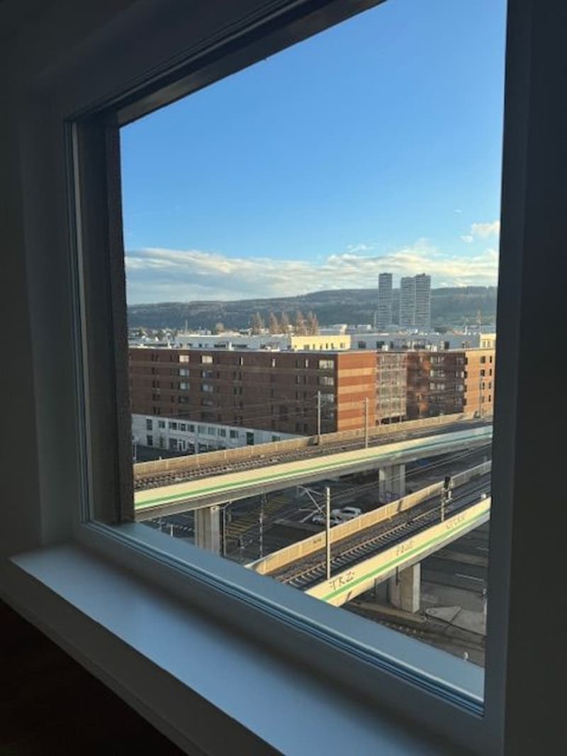 À partir du 1.10. - Appartement stylé de 3.5 pièces avec 95 m2 et grande loggia de 35 m2, au 8e étage (7)