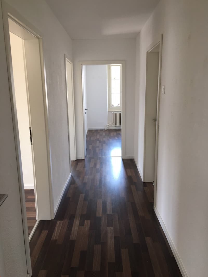 Blick vom Eingangsbereich durch die grosszügige Wohnung