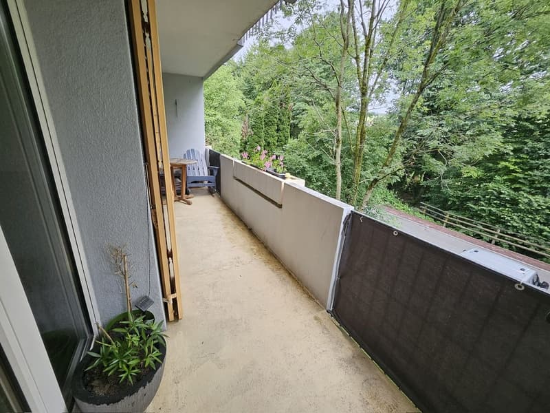 Carino appartamento 3.5 locali con balcone, ruscello, natura - dal 1.10.2026 (14)
