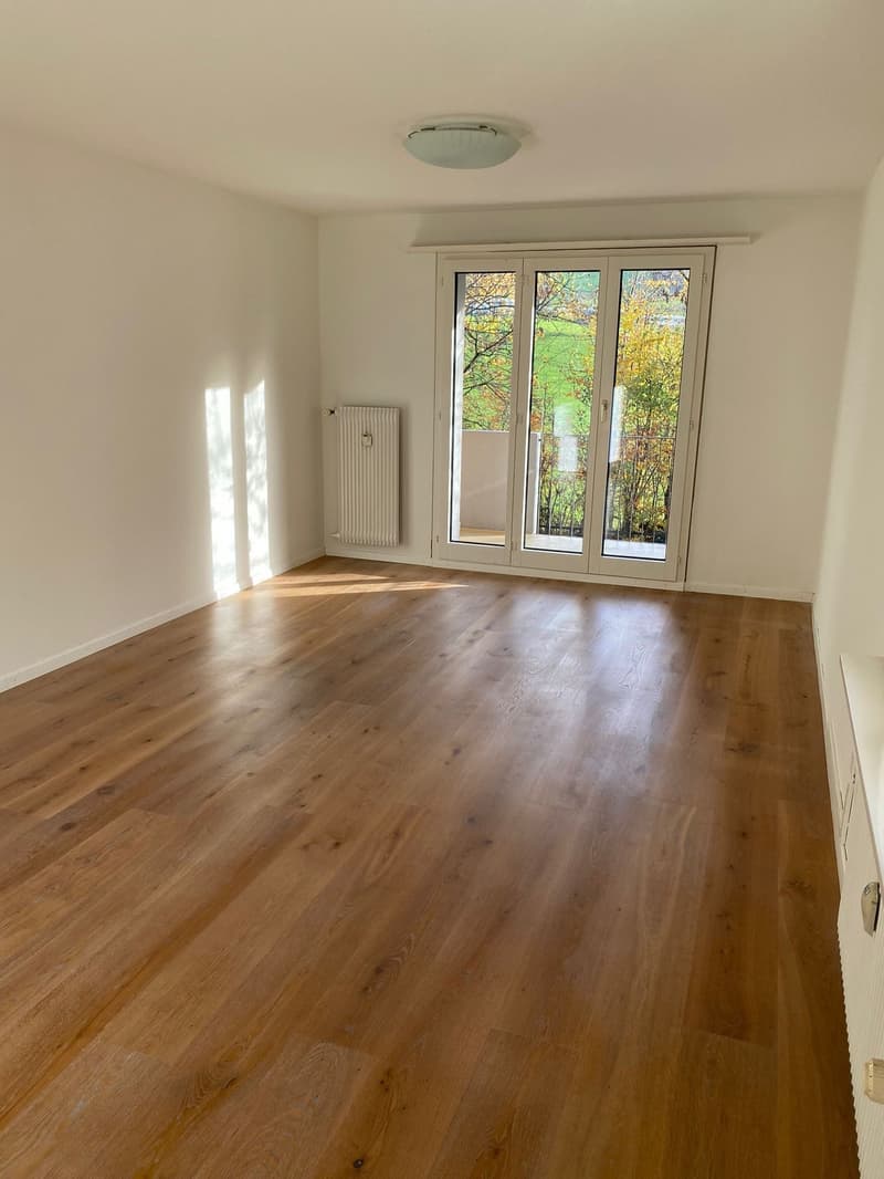 Carino appartamento 3.5 locali con balcone, ruscello, natura - dal 1.10.2026 (12)