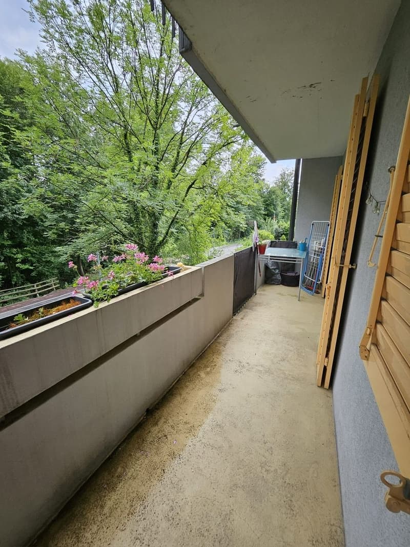 Carino appartamento 3.5 locali con balcone, ruscello, natura - dal 1.10.2026 (16)