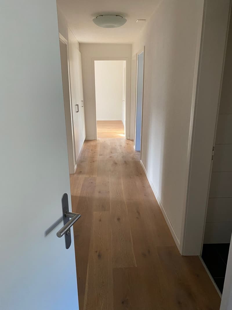Carino appartamento 3.5 locali con balcone, ruscello, natura - dal 1.10.2026 (1)