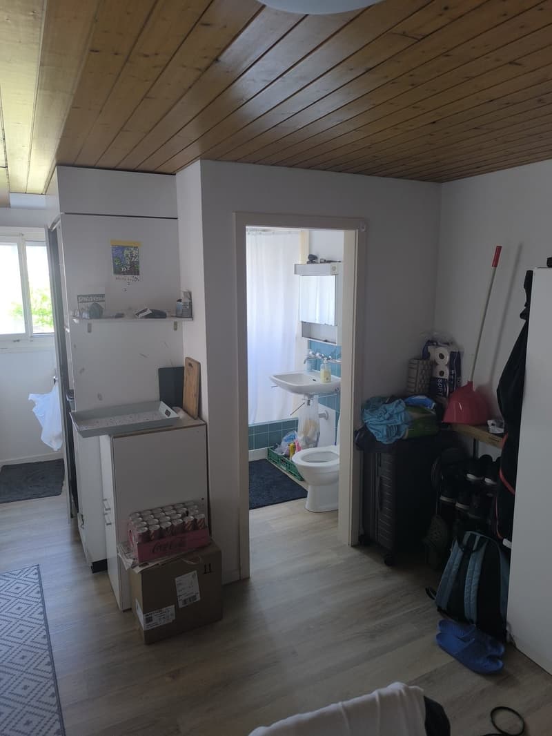 Ab 1.10. - Praktische, kleine 1.0 Zimmerwohnung (5)