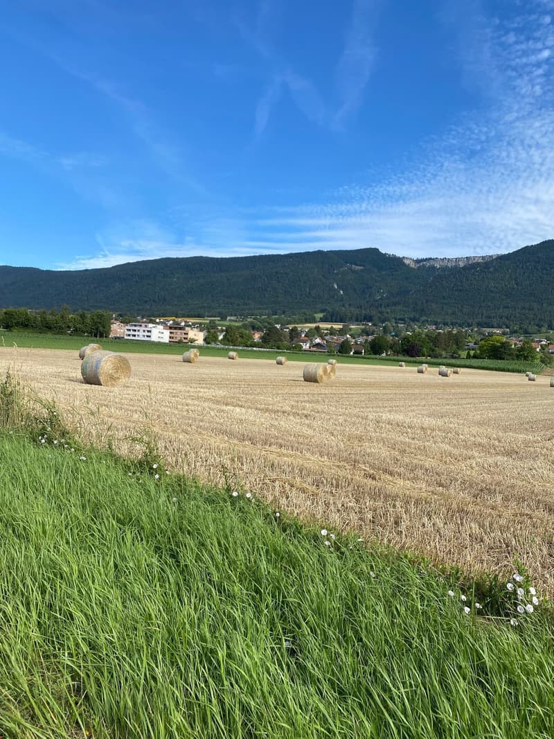 Schöne Umgebung und Natur in Bettlach zum Spazieren, Velofahren und Geniessen