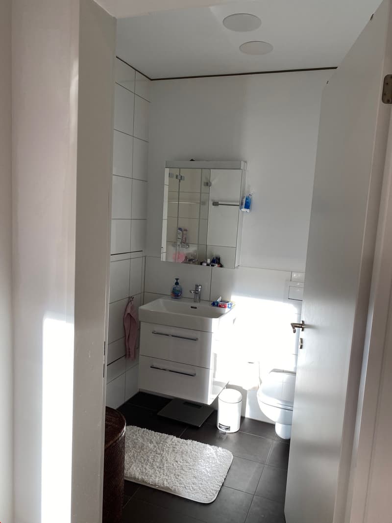 Tolles Badezimmer mit grosser Dusche, WC, Lavabo und Unterschrank zum Lavabo