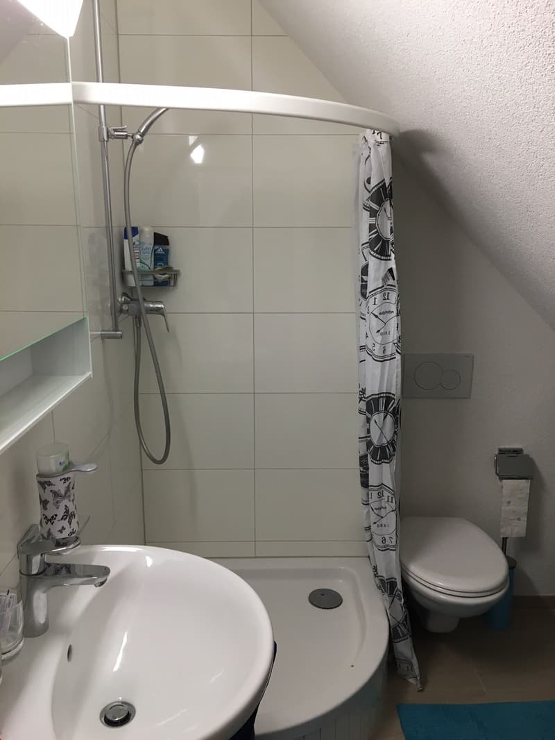 Badezimmer mit Dusche, WC, Lavabo und Spiegelschrank