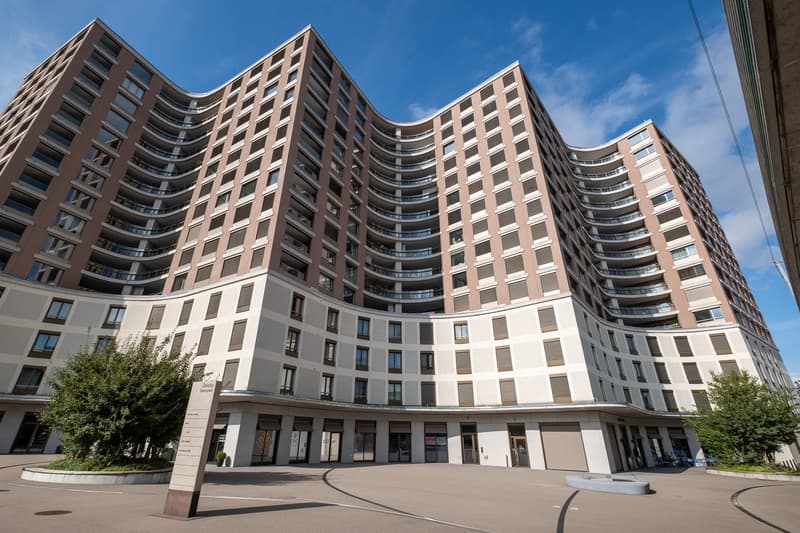 Ab 15.9./1.10. - Stylische 3.5 Zi Whg mit 95 m2 mit grosser Loggia 35 m2, im 10. Stock (3)