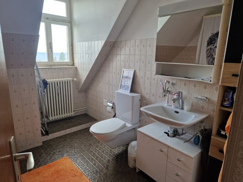 Grosszügige 2.5 Zi Wohnung mit traumhafter Aussicht - flexibel ab 1.10./1.11./1.12. (12)