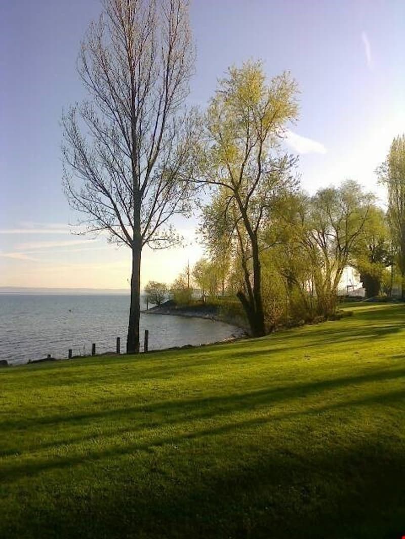 Tolle Stimmung direkt am Bodensee