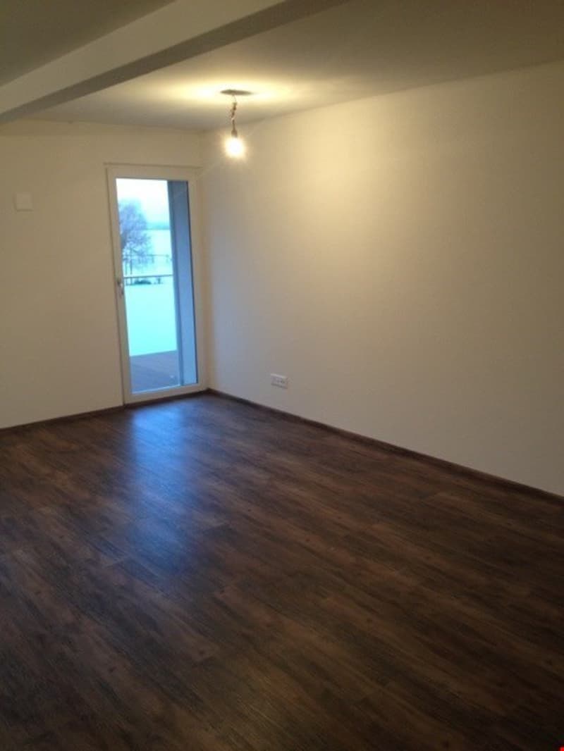 Grosszügiges Wohnzimmer mit Ausgang zum Balkon