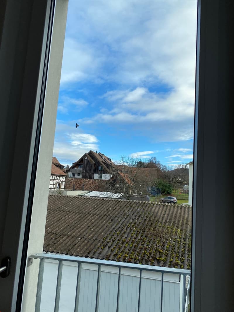 Blick aus der hübschen, hellen Wohnung in die Ferne