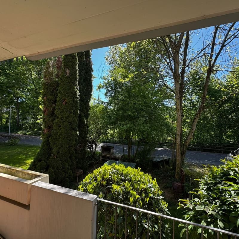 Ab 1.2./1.3. - Schöne 2.5 Zi Wohnung mit Balkon, grosse Einzelgarage (1)