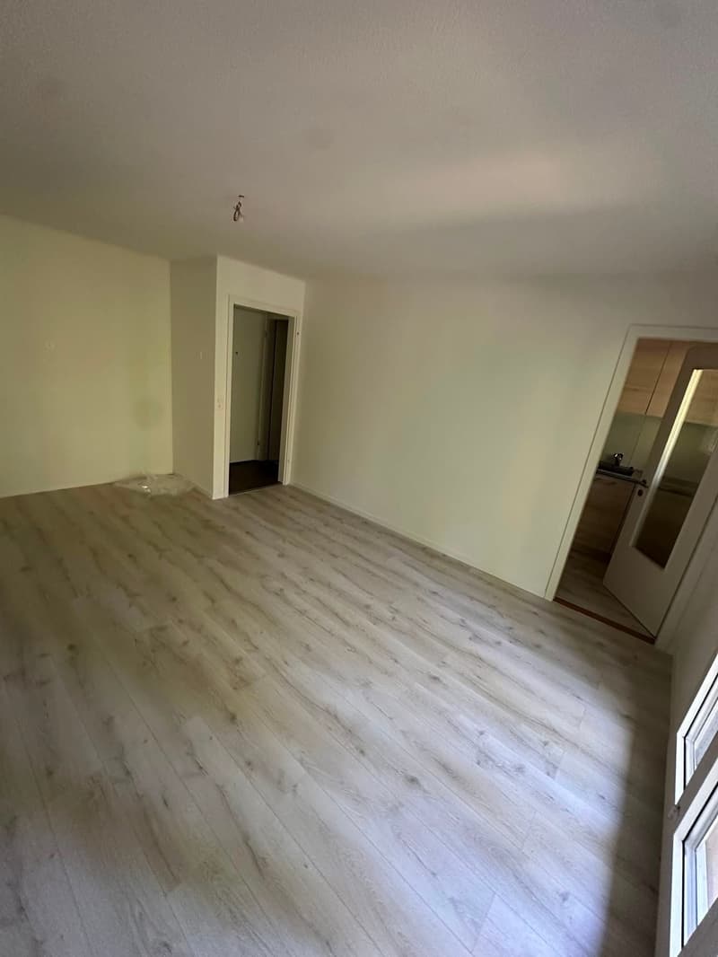 Ab 1.2./1.3. - Schöne 2.5 Zi Wohnung mit Balkon, grosse Einzelgarage (15)