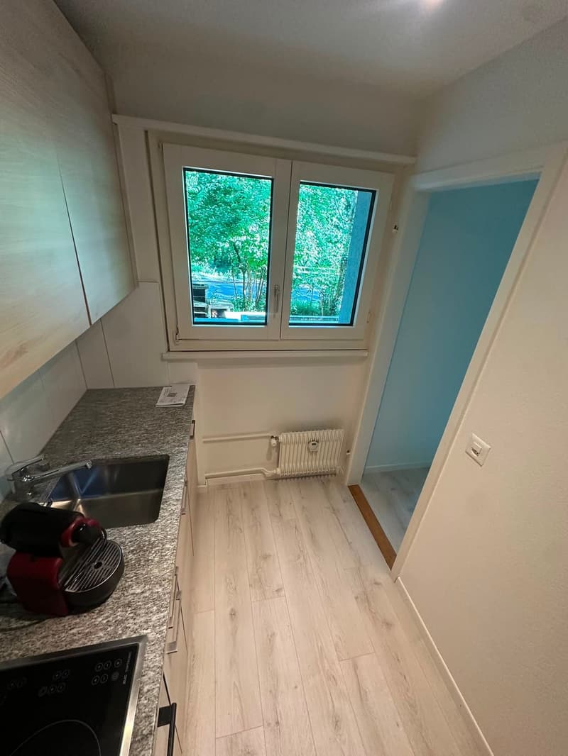 Ab 1.2./1.3. - Schöne 2.5 Zi Wohnung mit Balkon, grosse Einzelgarage (6)