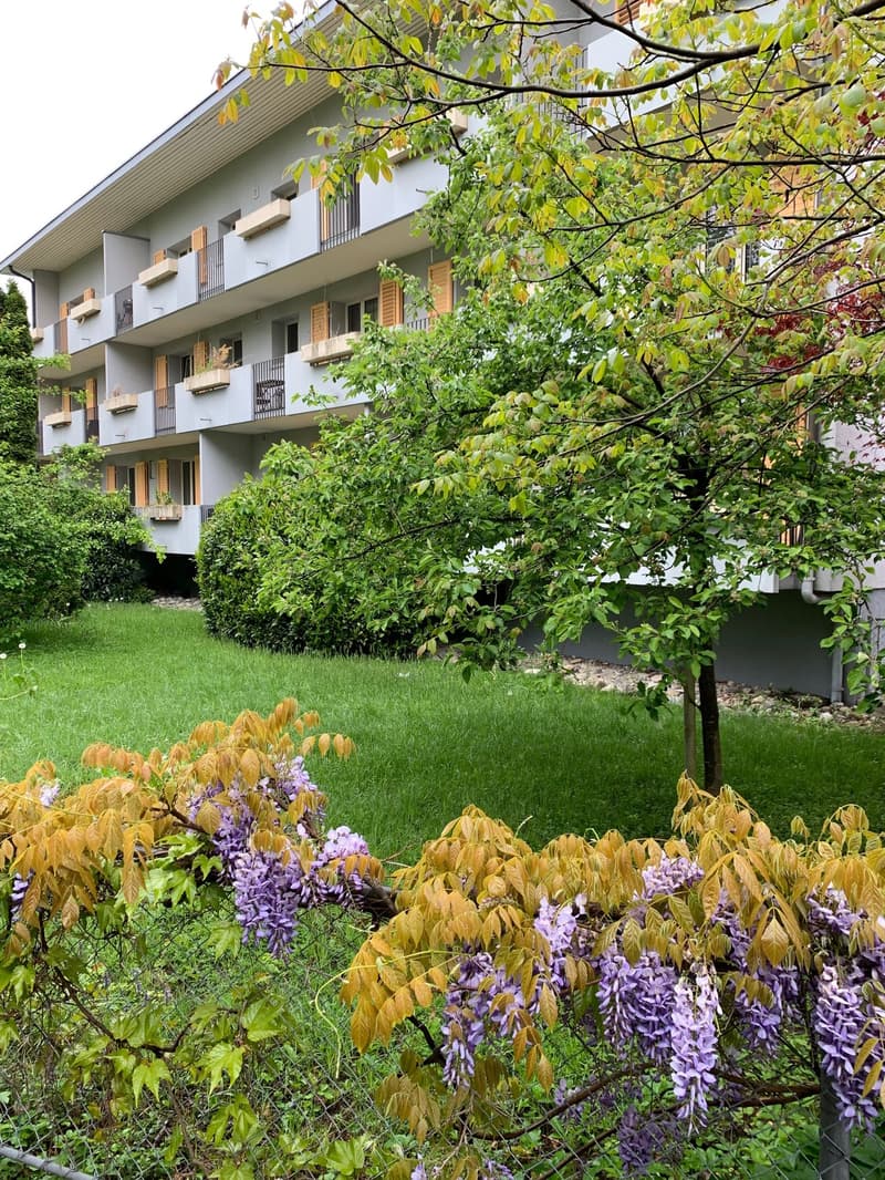 Ab 1.2./1.3. - Schöne 2.5 Zi Wohnung mit Balkon, grosse Einzelgarage (9)