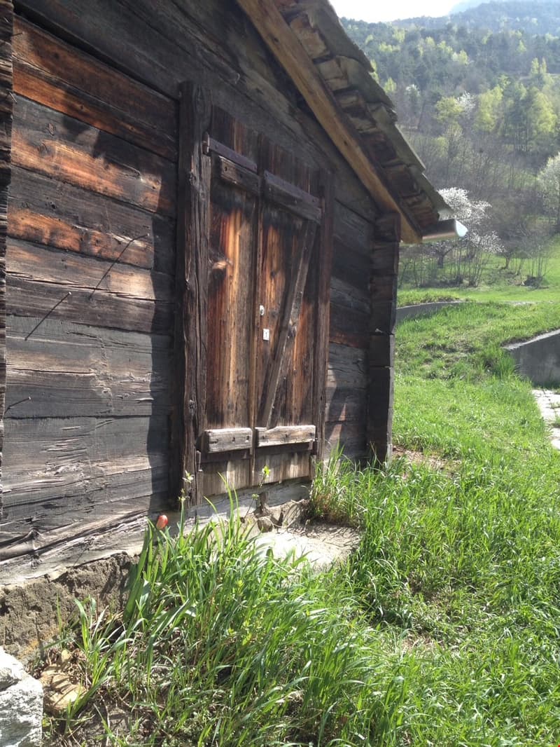 The image shows an old, weathered wooden cabin in a rural, forested setting. The cabin has a slanted roof and large wooden doors. The surrounding area is lush and green, with tall grass and trees in the background.