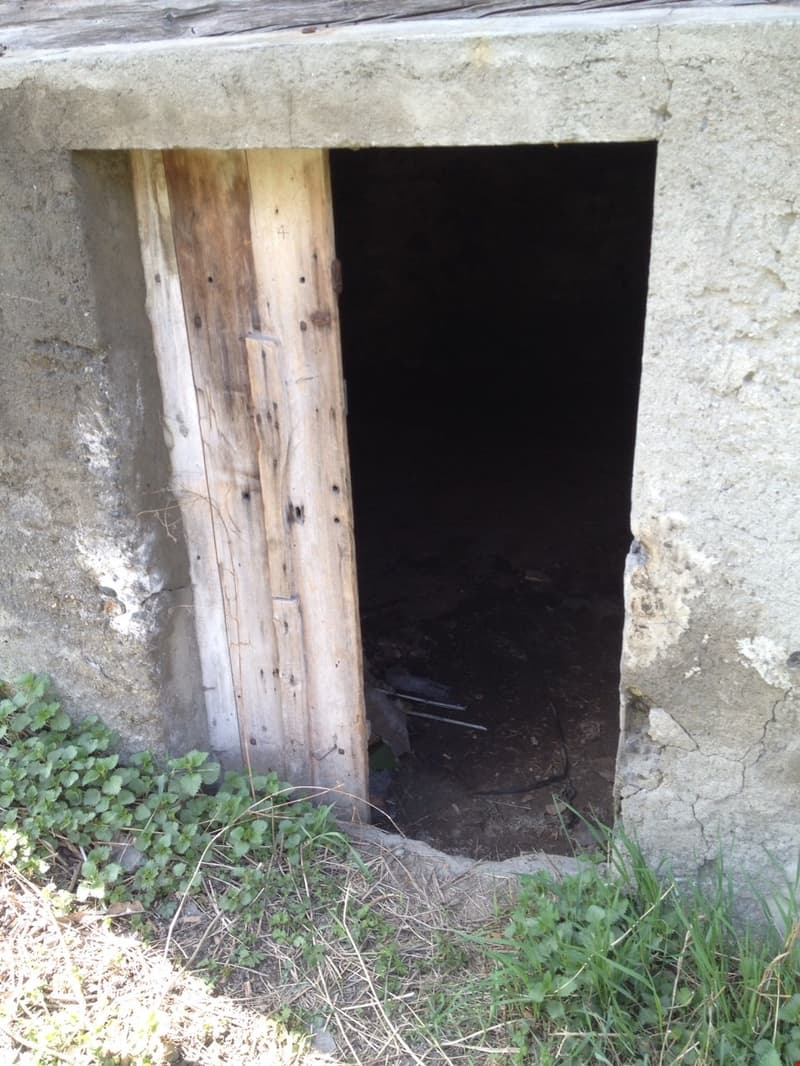 A wooden doorway leading into a dark, enclosed space, surrounded by grass and vegetation.