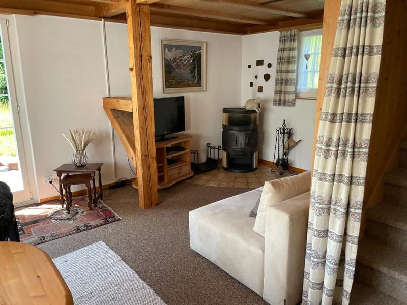TV, wood floor, fireplace, couch, rug, wooden table, painting