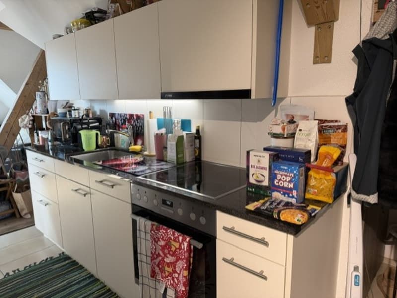 Charmante 1.5-Zimmer-Dachwohnung in Spiez (3)