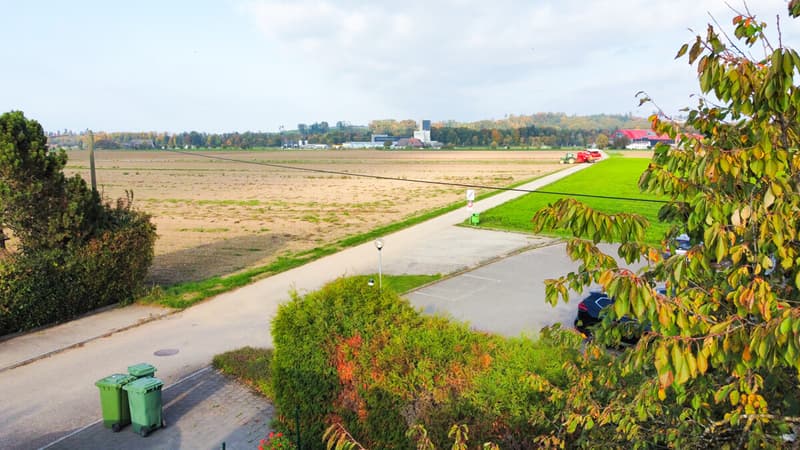 dji_fly_20251015_163708_705_1760539223728_photo_optimized