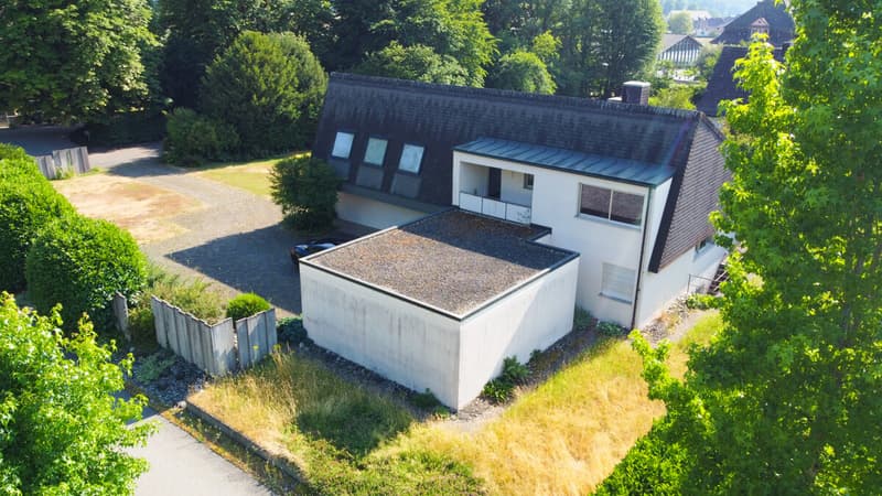 dji_fly_20260626_172536_849_1782487562850_photo_optimized