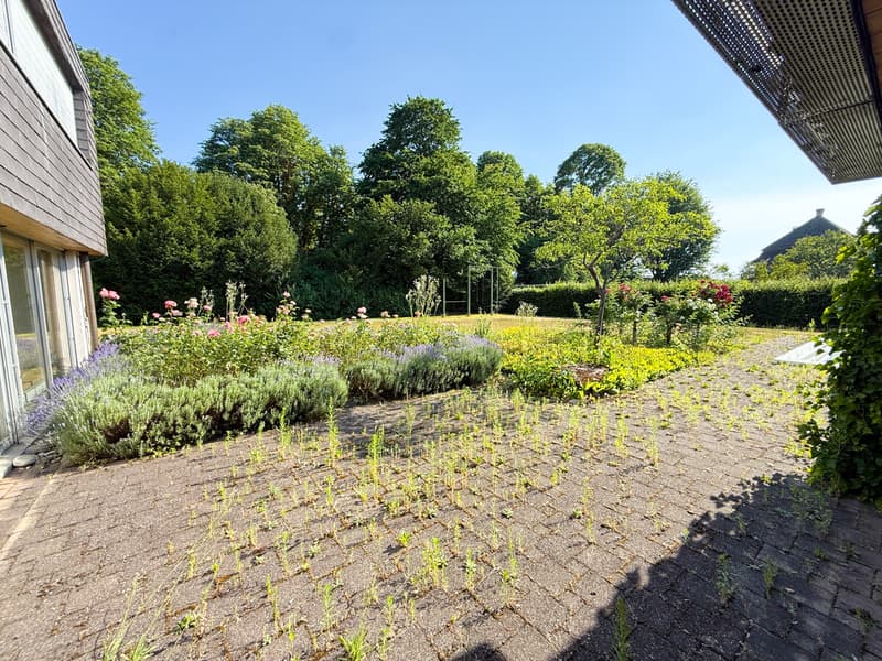 IMG_8758