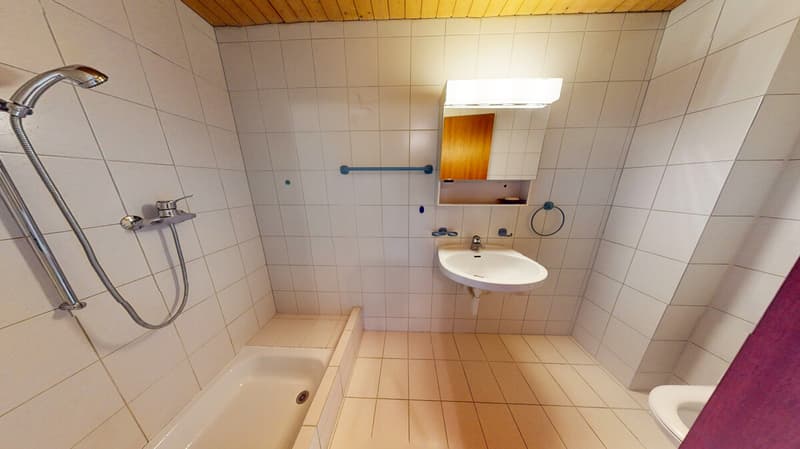 6-Subingenstrasse-08252026_151514