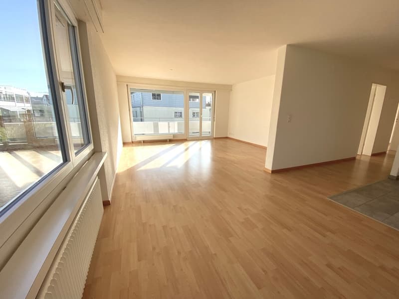 grosszügige, schöne Wohnung (3)