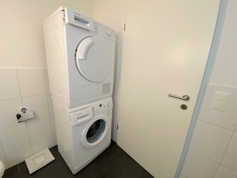 schöne Wohnung, modern, hell, grosszügig (16)
