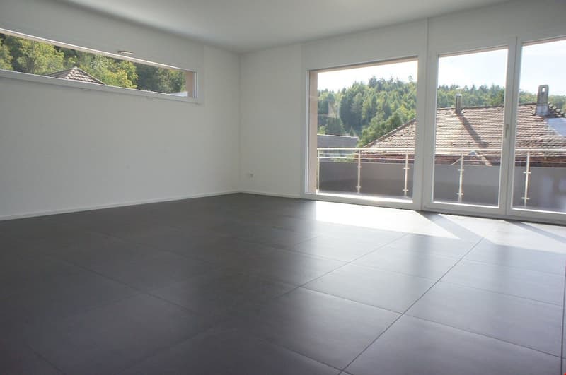 schöne Wohnung, modern, hell, grosszügig (3)