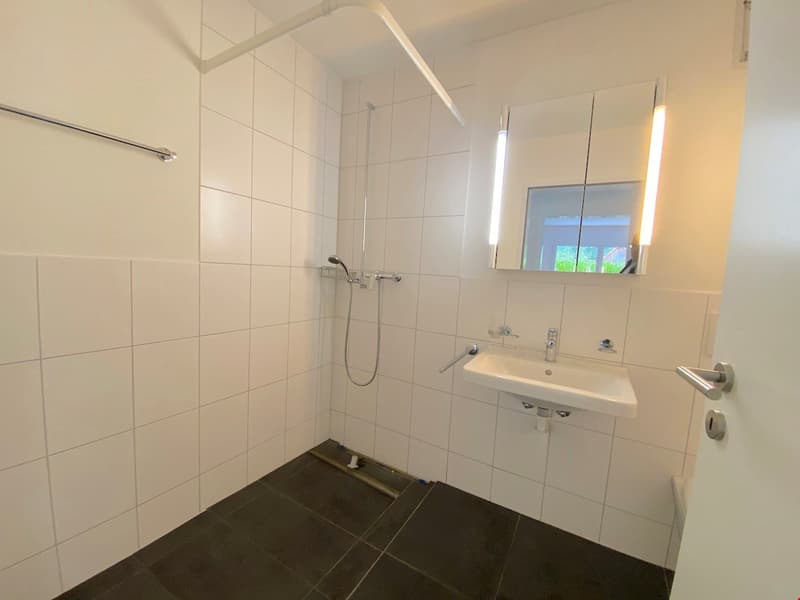 schöne Wohnung, modern, hell, grosszügig (10)