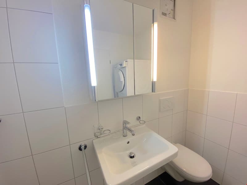 schöne Wohnung, modern, hell, grosszügig (13)