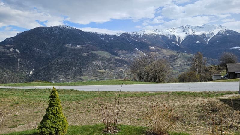 Mountains, road, green grass, trees, house